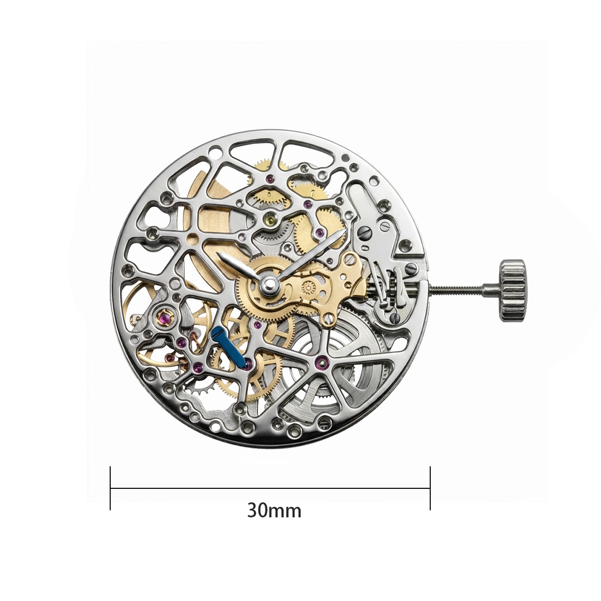 Nuovo movimento meccanico 5500 - Watch Winder Compact recensione e prezzo