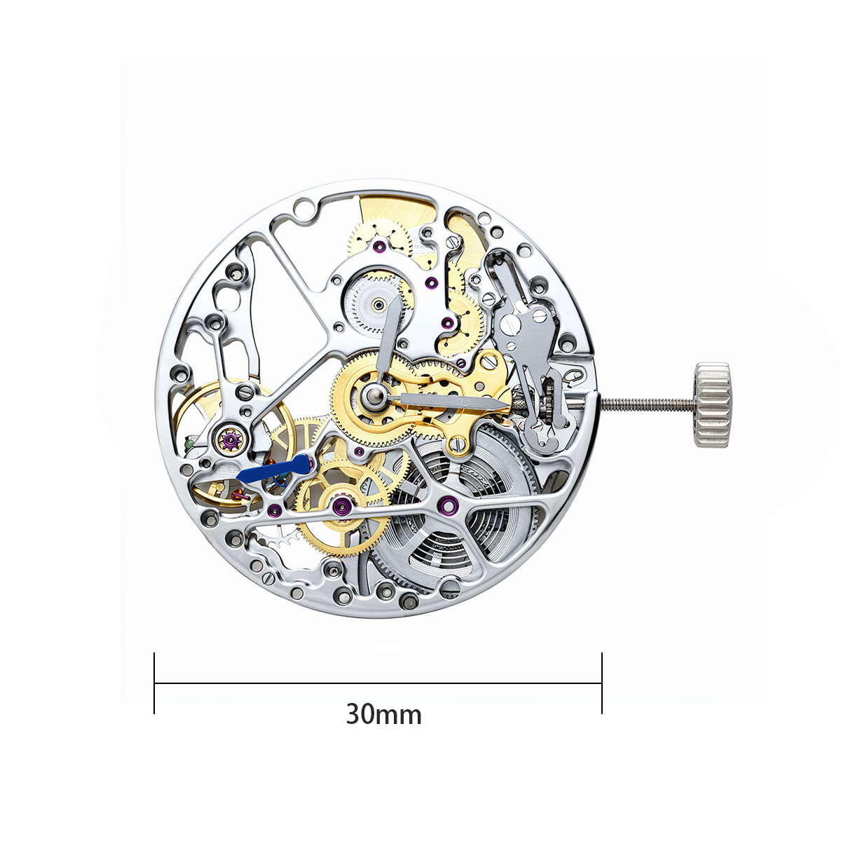 Nuovo movimento meccanico 5500 - Watch Winder Compact recensione e prezzo