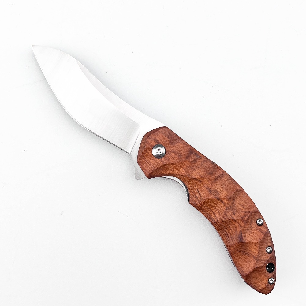 Coltello Tascabile Pieghevole  - Edc Carry Pocket Knife recensione e prezzo